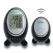 LD 530 Wireless Indoor/Outdoor Thermometer